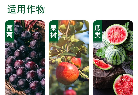 1000ml���ݿ�ˮ��-砵��C(j��)-���ɽ�