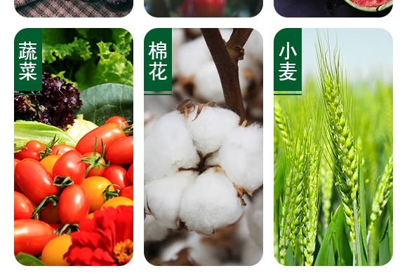 1000ml���ݿ�ˮ��-砵��C(j��)-���ɽ�