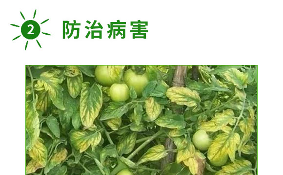 ȫ�a(b��)һ̖(h��o)-������-�����S