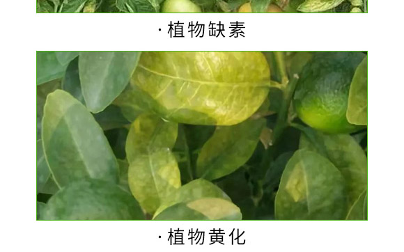 ȫ�a(b��)һ̖(h��o)-������-�����S