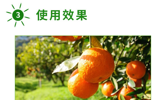 ȫ�a(b��)һ̖(h��o)-������-�����S