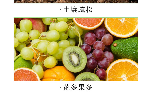 ����+�ך���-�����ʹ�-�����S