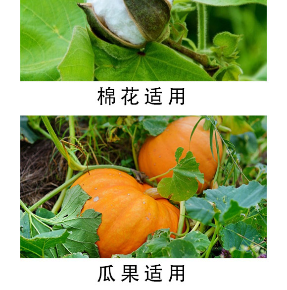 大量元素水溶肥-海法k-卡典-海法國際 大量元素水溶肥-海法k-卡典-海法國際