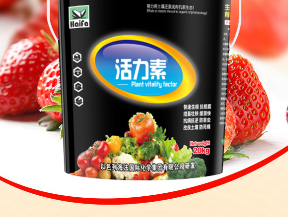 ������-����-�������H