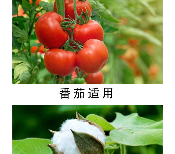 大量元素水溶肥-海法k-艾米-海法國際 大量元素水溶肥-海法k-艾米-海法國際