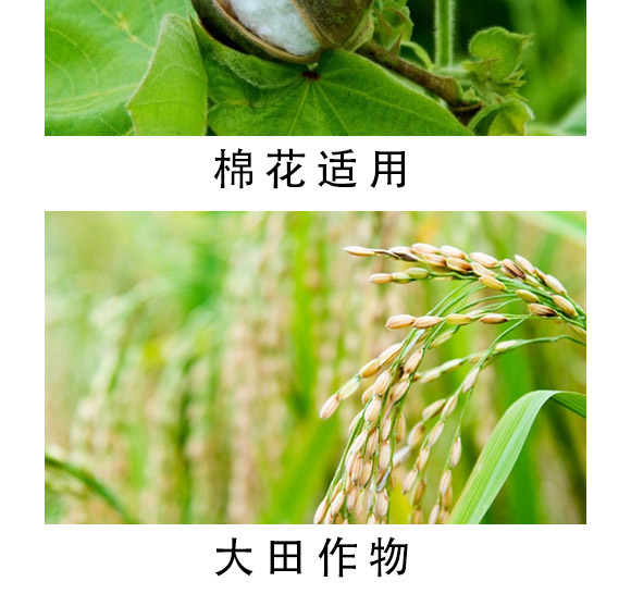 大量元素水溶肥-海法k-艾米-海法國際 大量元素水溶肥-海法k-艾米-海法國際