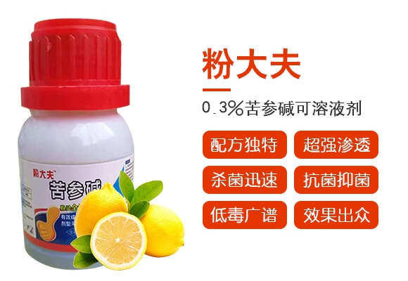 0.3%苦參堿可溶液劑-粉大夫-諾爾生物 0.3%苦參堿可溶液劑-粉大夫-諾爾生物