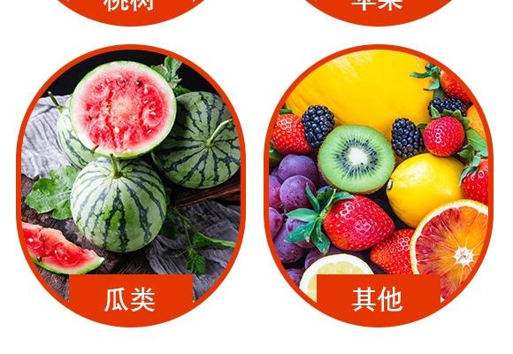 0.3%�����A����Һ��-�۴��-�Z������