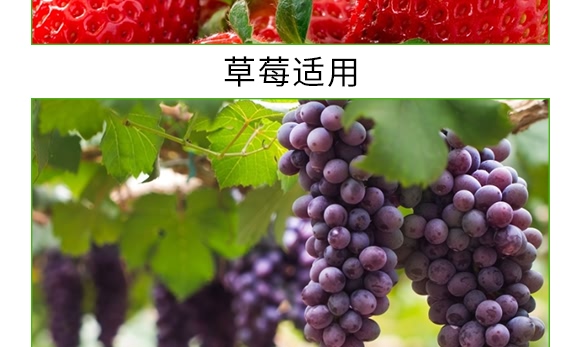 礦源黃腐酸碳酶菌劑-黃立翠-廣宇通 礦源黃腐酸碳酶菌劑-黃立翠-廣宇通