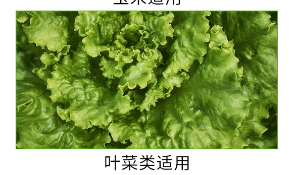 礦源黃腐酸碳酶菌劑-黃立翠-廣宇通 礦源黃腐酸碳酶菌劑-黃立翠-廣宇通