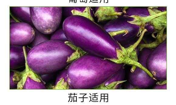 根寶·礦源腐殖酸鉀-碳戀-廣宇通 根寶·礦源腐殖酸鉀-碳戀-廣宇通