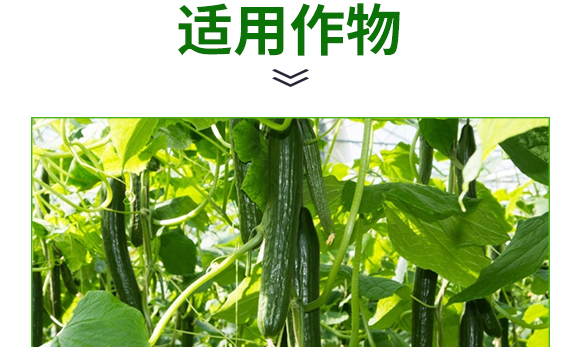 螯合中微量微生物菌劑-碳戀-廣宇通 螯合中微量微生物菌劑-碳戀-廣宇通