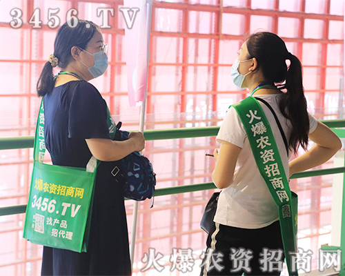 ���������������������r(n��ng)�Y�W(w��ng)2020��ԭ���ϕ���������w����