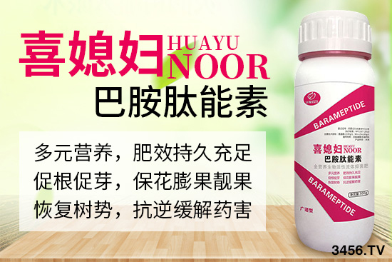 諾爾生物技術(shù)有限公司主營哪些產(chǎn)品? 諾爾生物技術(shù)有限公司主營哪些產(chǎn)品?