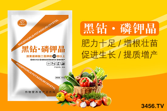 諾爾生物技術(shù)有限公司主營哪些產(chǎn)品? 諾爾生物技術(shù)有限公司主營哪些產(chǎn)品?