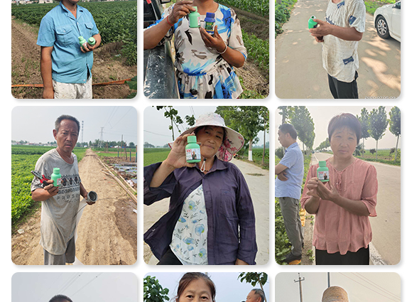 微生物菌劑-菌安天下 微生物菌劑-菌安天下