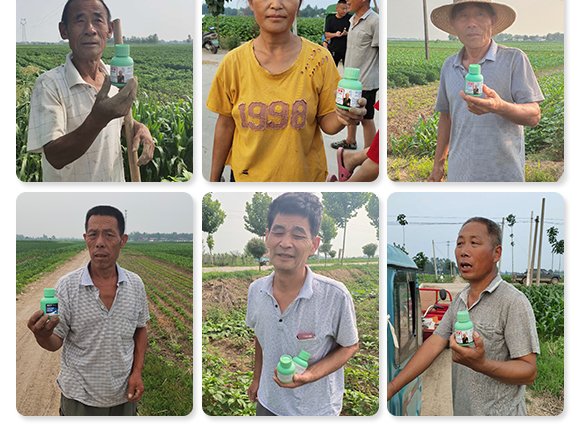 微生物菌劑-菌安天下 微生物菌劑-菌安天下