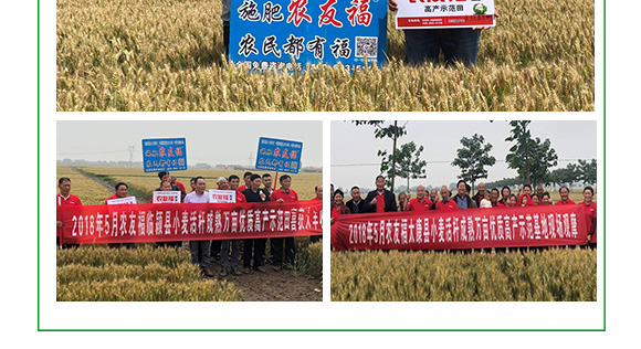 �������-�r(n��ng)�Ѹ�