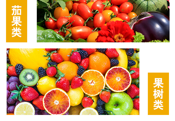 A鍨嬬簿鍝佺駭鐭挎簮榛勮厫閰擱捑錛堝ぉ鐒剁敓鐗╁埡嬋绱狅級_06.jpg A鍨嬬簿鍝佺駭鐭挎簮榛勮厫閰擱捑錛堝ぉ鐒剁敓鐗╁埡嬋绱狅級_06.jpg