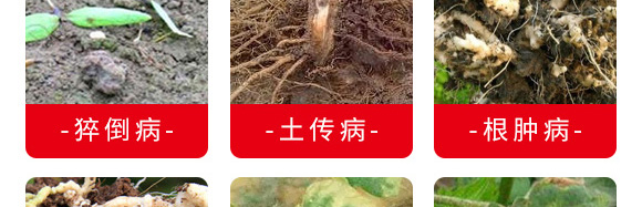 ΢�����������ע���θ���������-������-�_���r(n��ng)�I(y��)