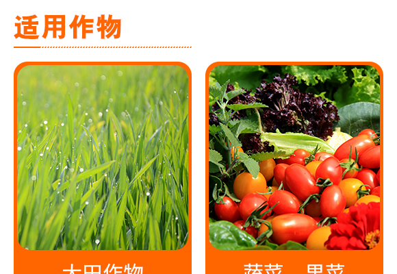 5%阿維菌素懸浮劑-芭農(nóng)生物 5%阿維菌素懸浮劑-芭農(nóng)生物