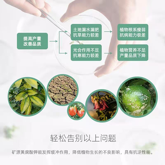 �VԴ�S�����-�A���r(n��ng)�I(y��)