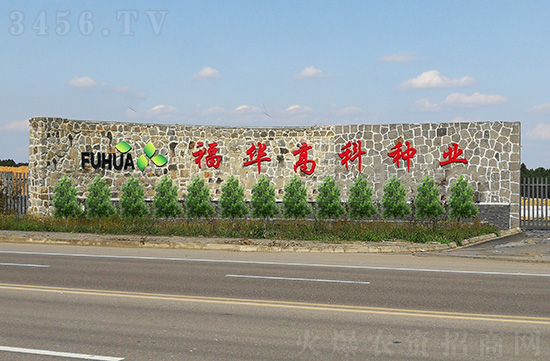 �Ĵ����A�߿ƷN�I(y��)����؟(z��)�ι�˾