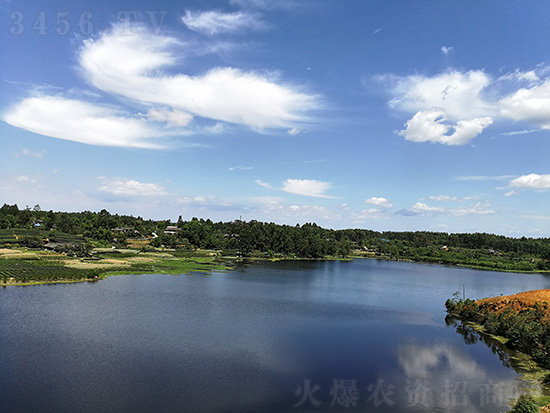 �Ĵ����A�߿ƷN�I(y��)����؟(z��)�ι�˾