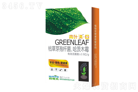 黃瓜霜霉病能治好嗎 黃瓜霜霉病打什么藥好 黃瓜霜霉病能治好嗎 黃瓜霜霉病打什么藥好