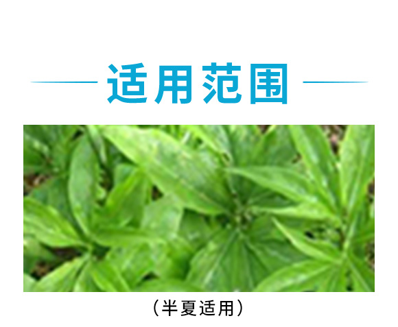 ��������������ˎ�ĳ��݄�-����