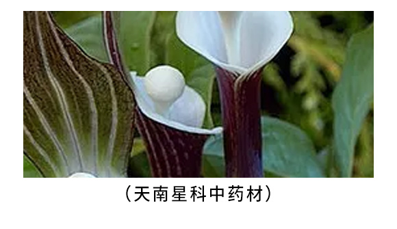 ��������������ˎ�ĳ��݄�-����