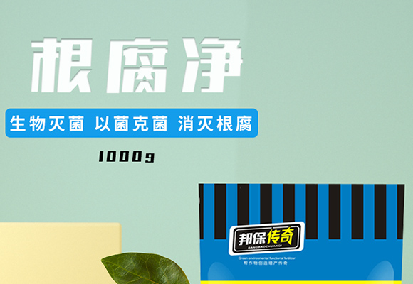 鏍硅厫鍑-閭︿繚浼犲-閭︿繚鑲ヤ笟_01.jpg 鏍硅厫鍑-閭︿繚浼犲-閭︿繚鑲ヤ笟_01.jpg