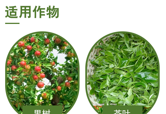 鍦熷¥璋冪悊鍓?紜呭井澶氳ˉ_04.jpg 鍦熷¥璋冪悊鍓?紜呭井澶氳ˉ_04.jpg