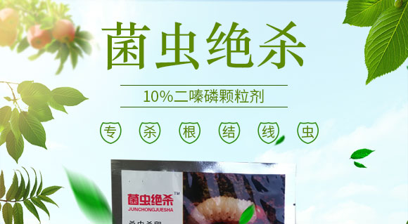 鍗椾含閲戝悏涔嬫槦鍐滀笟縐戞妧鏈夐檺鍏徃3_01.jpg 鍗椾含閲戝悏涔嬫槦鍐滀笟縐戞妧鏈夐檺鍏徃3_01.jpg