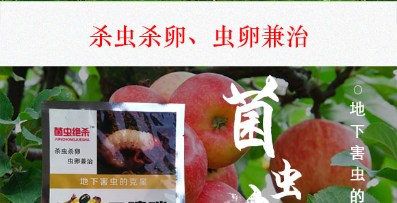 鍗椾含閲戝悏涔嬫槦鍐滀笟縐戞妧鏈夐檺鍏徃3_03.jpg 鍗椾含閲戝悏涔嬫槦鍐滀笟縐戞妧鏈夐檺鍏徃3_03.jpg