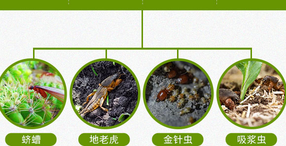 鍗椾含閲戝悏涔嬫槦鍐滀笟縐戞妧鏈夐檺鍏徃3_05.jpg 鍗椾含閲戝悏涔嬫槦鍐滀笟縐戞妧鏈夐檺鍏徃3_05.jpg