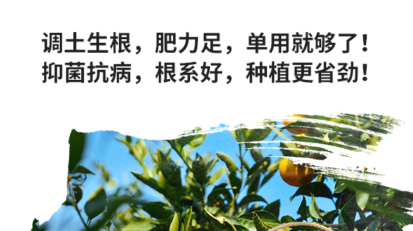 鏂扮枂涓壒鐓よ厫妞嶉吀鏈夐檺鍏徃_05.jpg 鏂扮枂涓壒鐓よ厫妞嶉吀鏈夐檺鍏徃_05.jpg