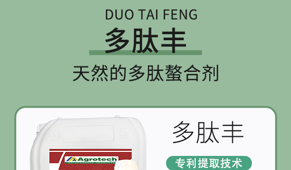 鍩冨強(qiáng)鑹炬牸娉板厠鍥介檯鍐滀笟寮鍙戞妧鏈泦鍥㈡湁闄愬叕鍙竉06.jpg 鍩冨強(qiáng)鑹炬牸娉板厠鍥介檯鍐滀笟寮鍙戞妧鏈泦鍥㈡湁闄愬叕鍙竉06.jpg