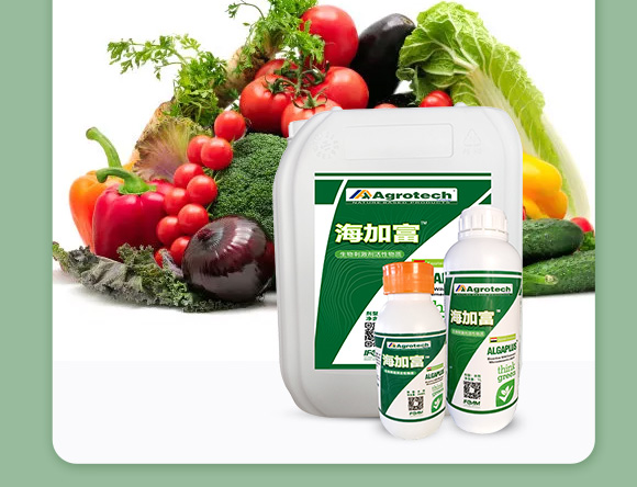 鍩冨強(qiáng)鑹炬牸娉板厠鍥介檯鍐滀笟寮鍙戞妧鏈泦鍥㈡湁闄愬叕鍙?_05.jpg 鍩冨強(qiáng)鑹炬牸娉板厠鍥介檯鍐滀笟寮鍙戞妧鏈泦鍥㈡湁闄愬叕鍙?_05.jpg