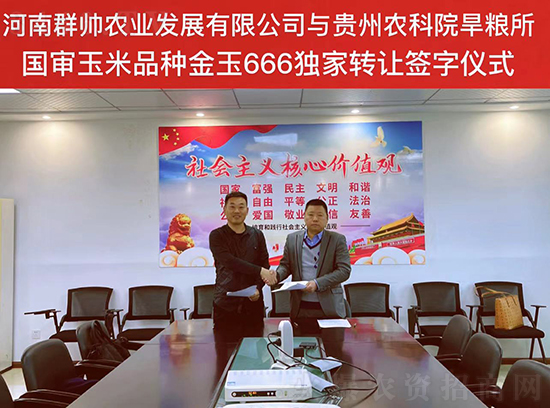 ����666-���׷N��-Ⱥ��