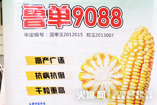 聚焦展會,掘金市場!2021河南夏季種子會,安徽華成期待您的蒞臨! 聚焦展會,掘金市場!2021河南夏季種子會,安徽華成期待您的蒞臨!