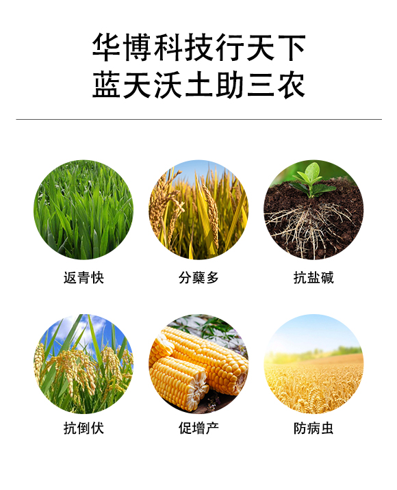 榪旈潚鍒嗚槚鏌潏鑲?鍗庡崥澶╀笅_02.jpg 榪旈潚鍒嗚槚鏌潏鑲?鍗庡崥澶╀笅_02.jpg