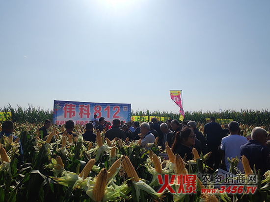 5ab2fe181ffa3e7ee1ed3008b5d0199e_.jpg 5ab2fe181ffa3e7ee1ed3008b5d0199e_.jpg