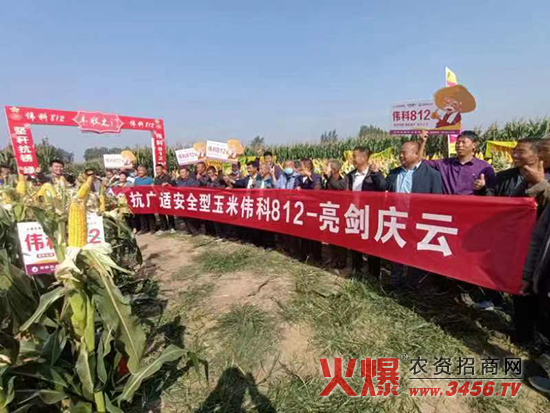 25f6dd919e9996e1285aabf287303fca_.jpg 25f6dd919e9996e1285aabf287303fca_.jpg