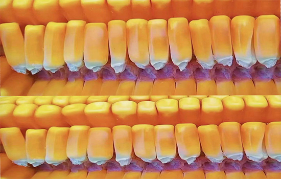 1e1aef6c469a85f99f73ada8def80427_.jpg 1e1aef6c469a85f99f73ada8def80427_.jpg