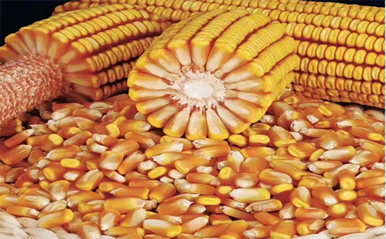 8c806edabb152b21f59b6a34a5d26dba_.jpg 8c806edabb152b21f59b6a34a5d26dba_.jpg