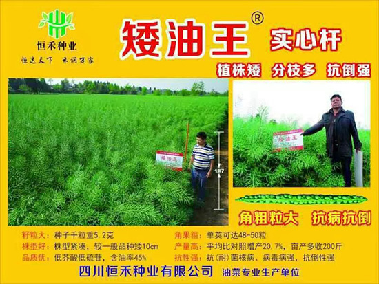 娌硅彍縐嶅瓙-鐭補(bǔ)鐜?紱忔補(bǔ)2鍙?-鎭掔縐嶄笟2.jpg 娌硅彍縐嶅瓙-鐭補(bǔ)鐜?紱忔補(bǔ)2鍙?-鎭掔縐嶄笟2.jpg