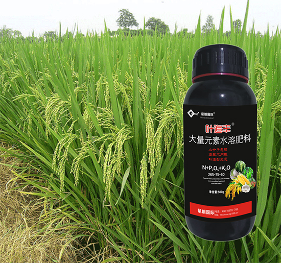 cf11cc78f0429b688f990954e62e6967_.jpg cf11cc78f0429b688f990954e62e6967_.jpg