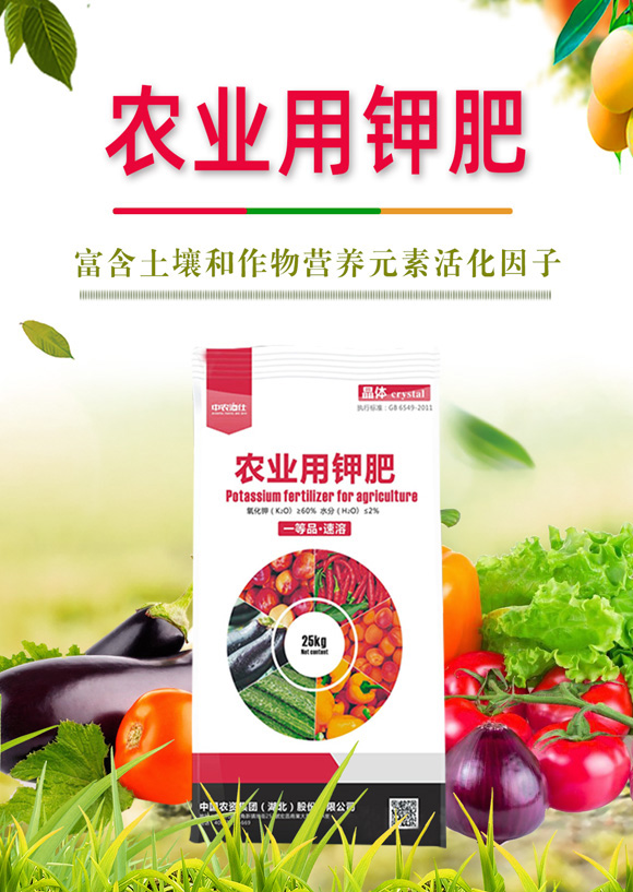 鍐滀笟鐢ㄩ捑鑲?鍐滆祫闆嗗洟_01.jpg 鍐滀笟鐢ㄩ捑鑲?鍐滆祫闆嗗洟_01.jpg