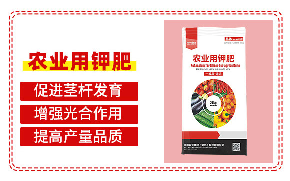 鍐滀笟鐢ㄩ捑鑲?鍐滆祫闆嗗洟_03.jpg 鍐滀笟鐢ㄩ捑鑲?鍐滆祫闆嗗洟_03.jpg